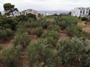 Almyrida Kreta, Almyrida: Grundstück in Strandnähe mit Meerblick zu verkaufen Grundstück kaufen